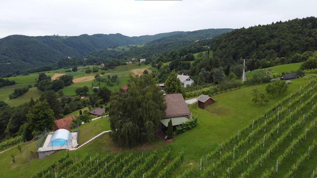 Zidanica Bundersek Apartamento Šentjanž Exterior foto