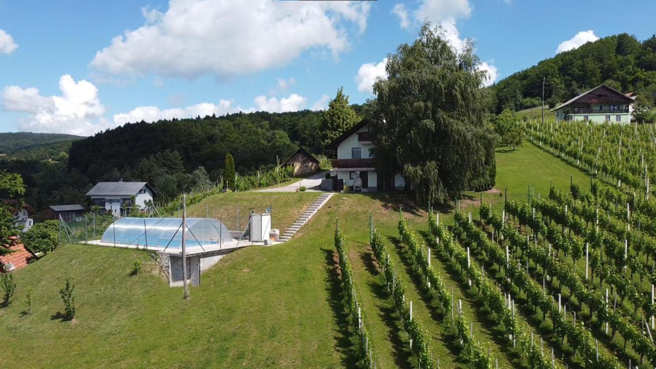 Zidanica Bundersek Apartamento Šentjanž Exterior foto